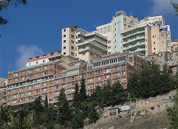 IRCCS Associazione Oasi Maria SS. Onlus - Troina