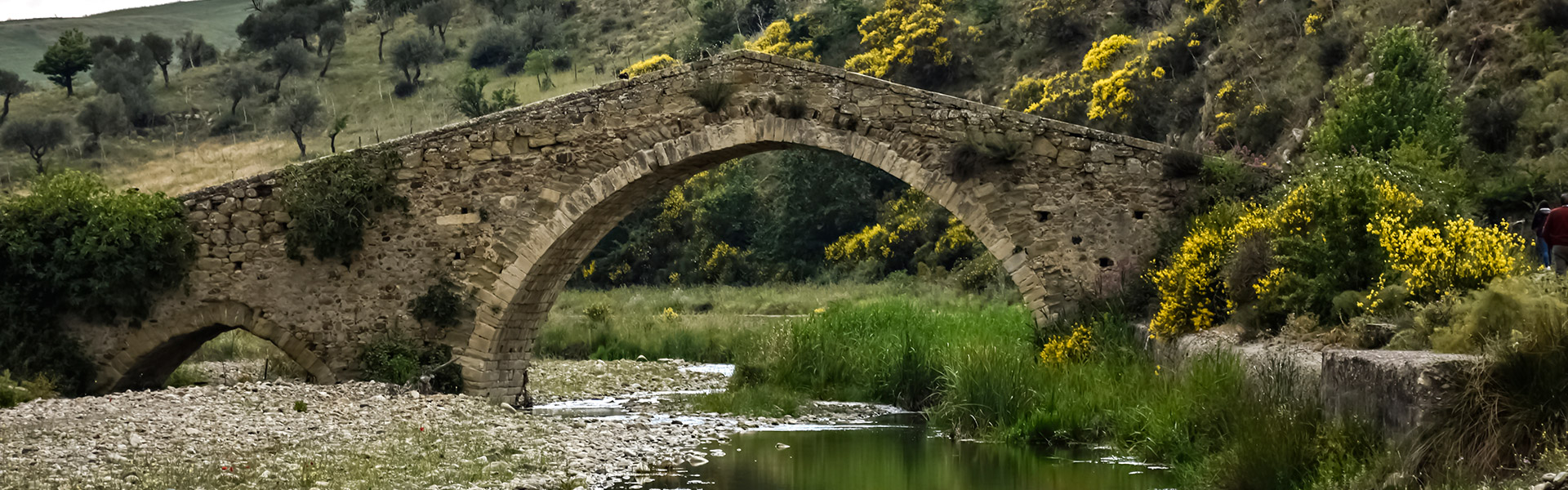 ponte-failla2