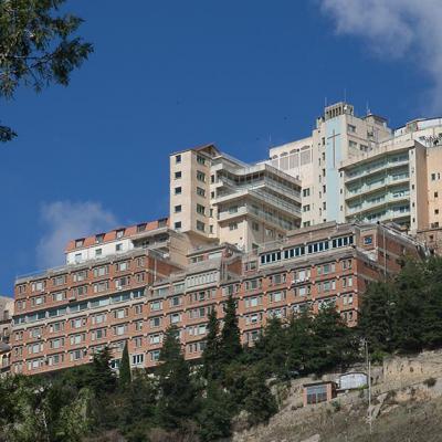 Oasi 1